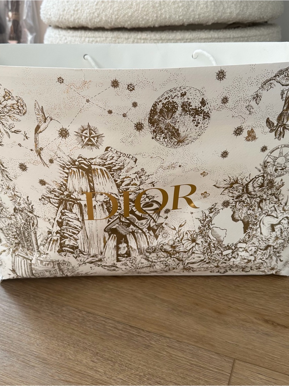 Dior Paper Shopping Bag